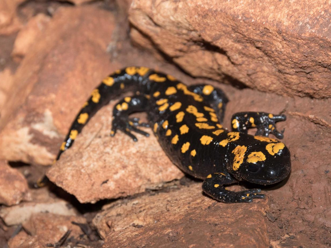 Israel Extreme-耶路撒冷必去景点