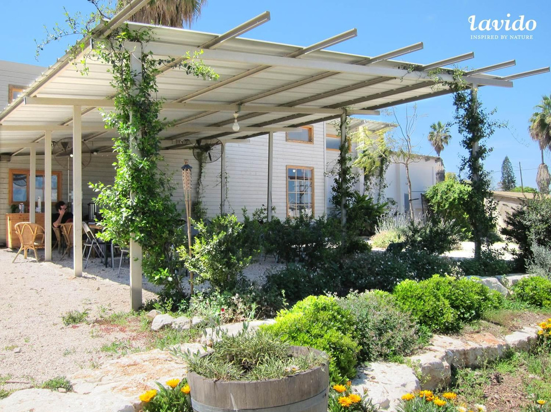 Lavido Visitor Center & Factory Store-Nahalal必去景点