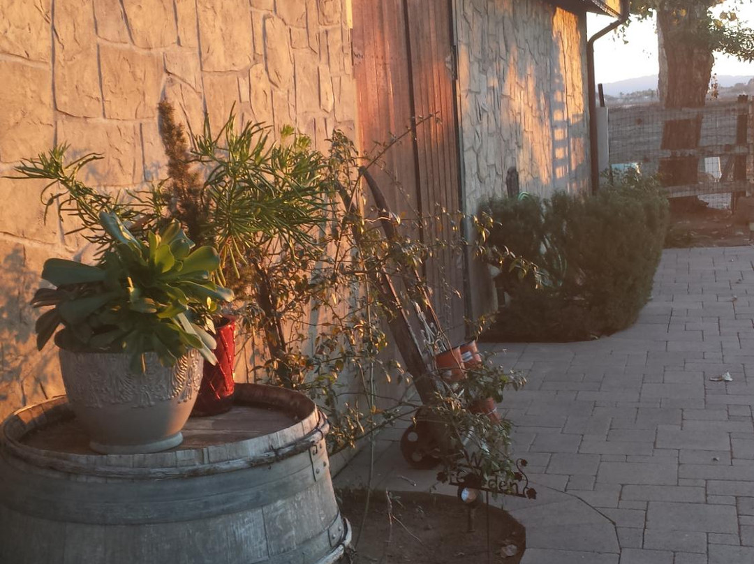 Palumbo Family Vineyards & Winery-特曼库拉必去景点