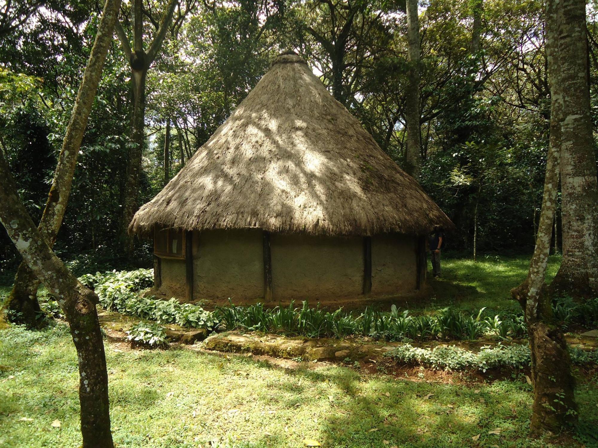 KEEP Bandas at Kakamega Forest-官方