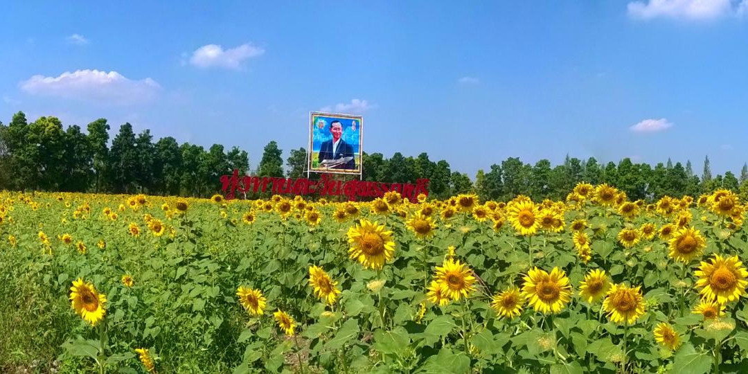 Suphanburi Agricultural Extension and Development Center-乌通必去景点