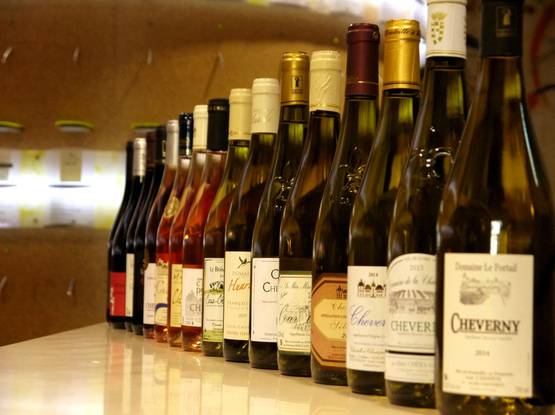 Maison des Vins de Cheverny景点图片