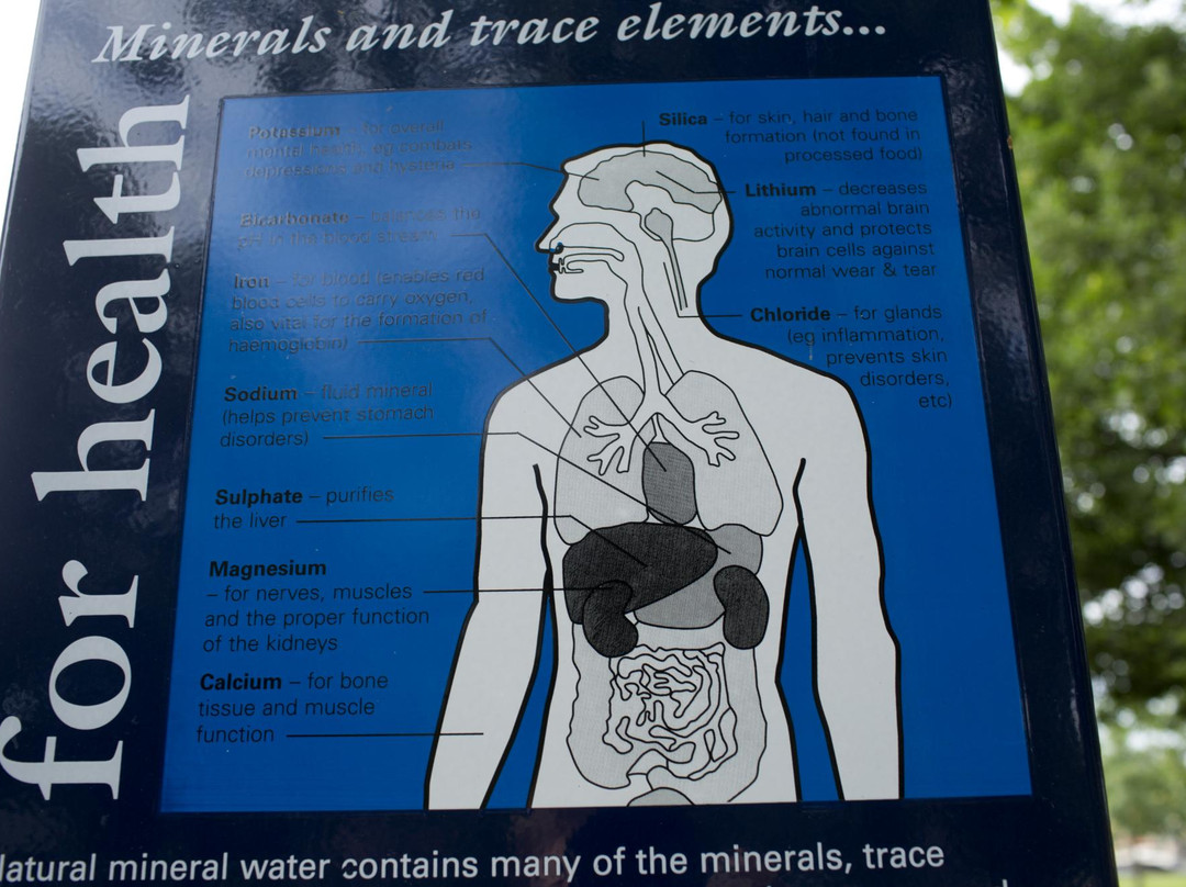 Kyneton Mineral Springs Reserve-凯尼顿必去景点