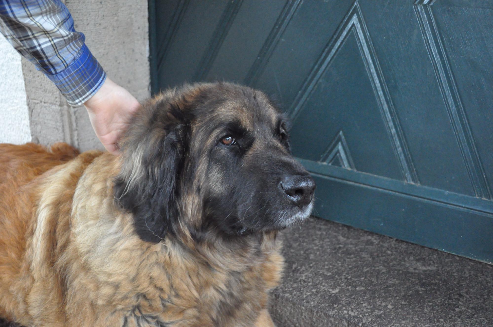 Bastgen Bed & Breakfast-浴室