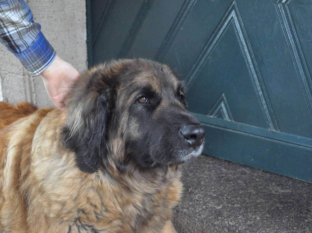 Bastgen Bed & Breakfast主图