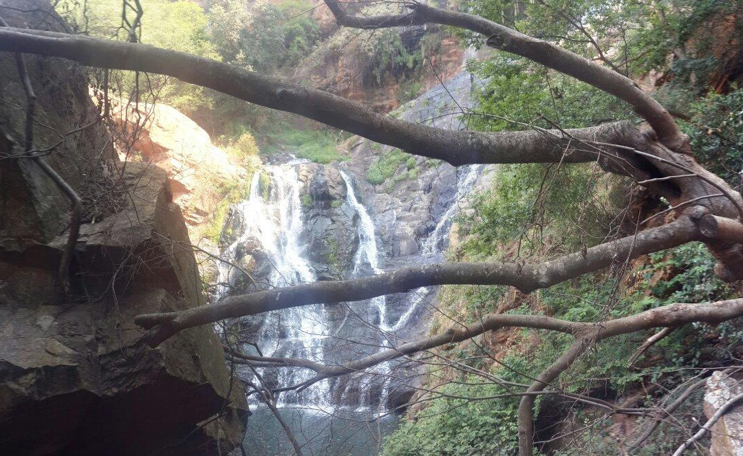 Walter Sisulu National Botanical Gardens景点图片