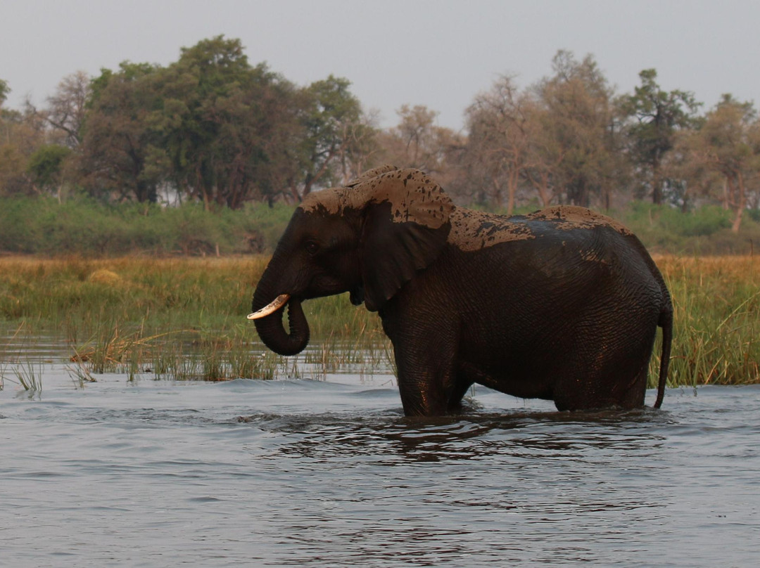 Nkasa Rupara National Park-Nkasa Rupala National Park必去景点