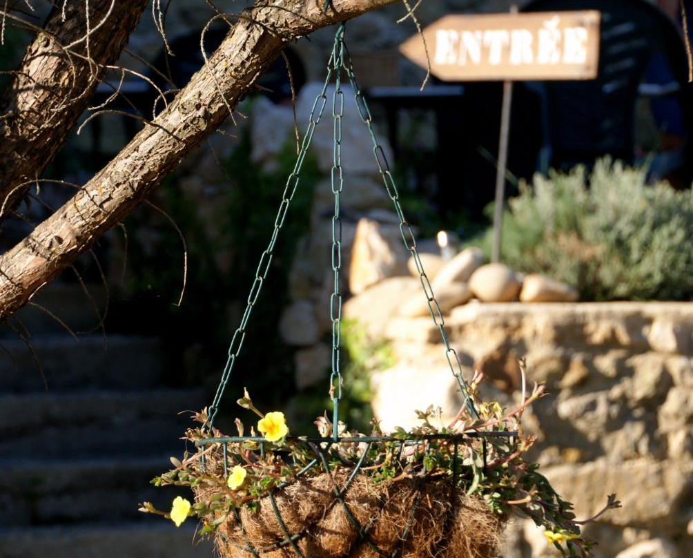 Auberge van Beethoven主图