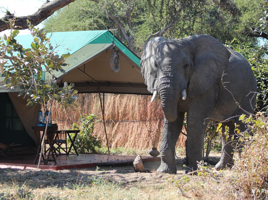 Mdonya Old River Camp主图