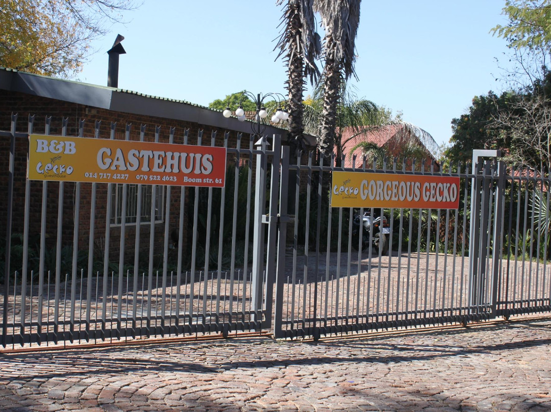 Gorgeous Gecko Guesthouse主图