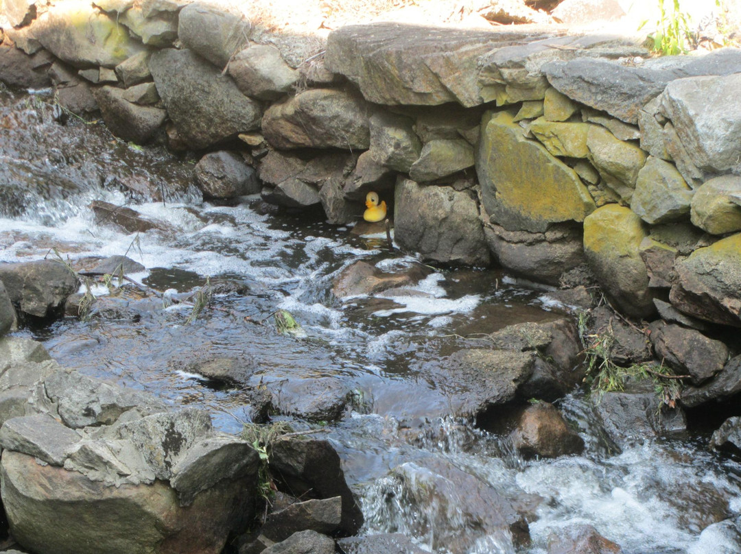 The Wayside Grist Mill-Sudbury必去景点