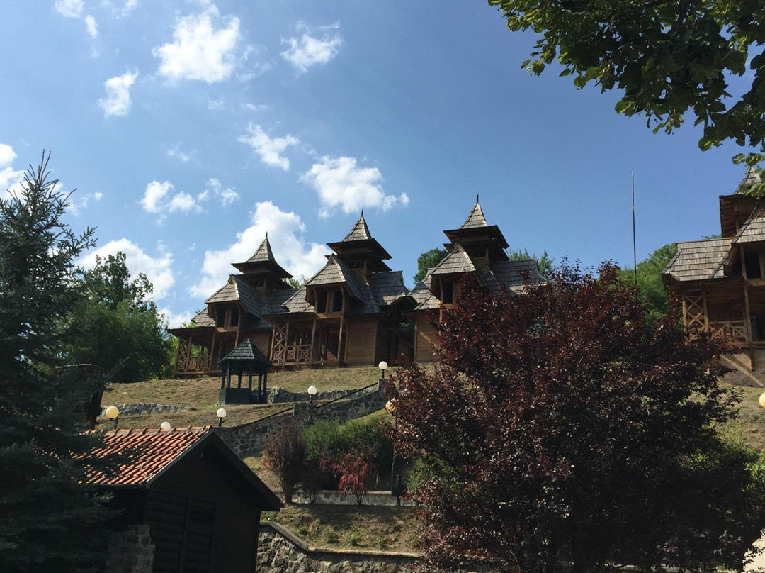 Nature Park Mokra Gora景点图片