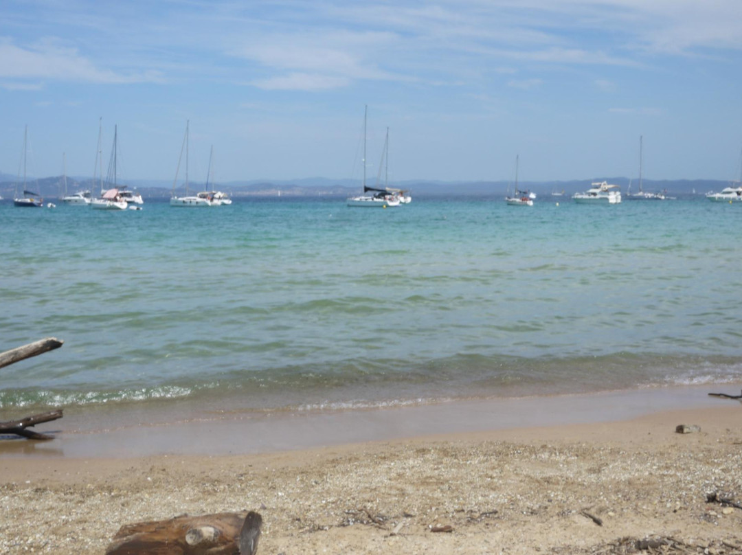 Plage de la Courtade-Porquerolles Island必去景点