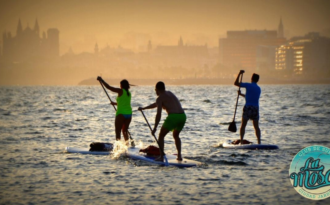 La Mosca Club de Surf-马洛卡帕尔马必去景点