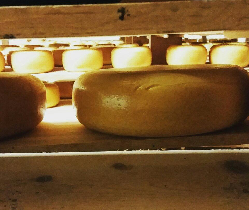 Oakdale Cheese & Specialties-奥克戴尔必去景点