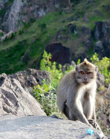Bali Water Sport-金塔马尼必去景点