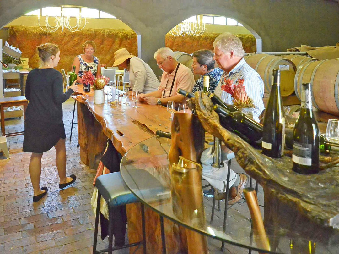 Adamastor & Bacchus - Tours-开普敦中心区必去景点