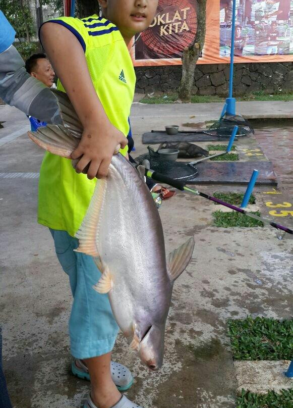 Lembah Gunung Kujang主图