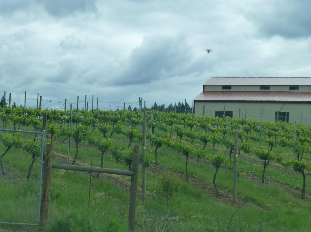 Becker Vineyard景点图片