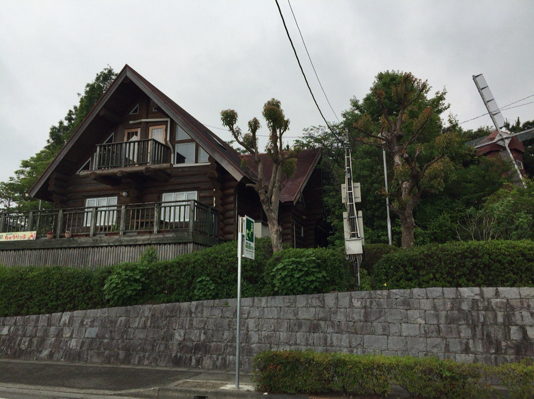 Kitajima Tulip Park-北岛町必去景点