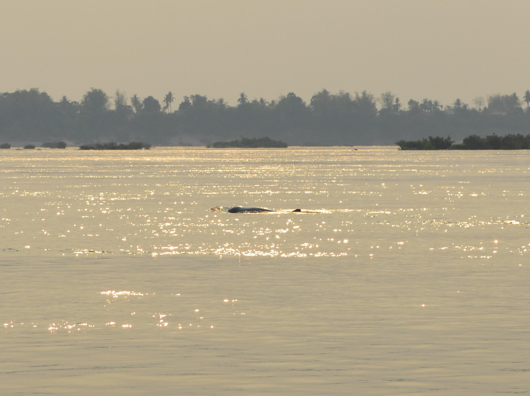 Mekong River景点图片