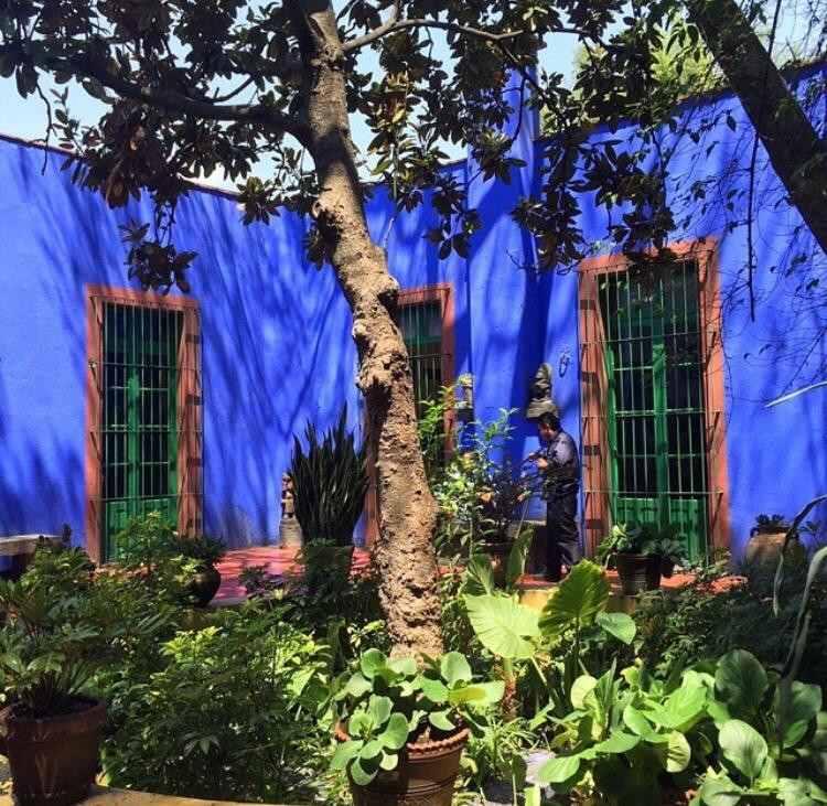 卡萝博物馆-墨西哥城必去景点