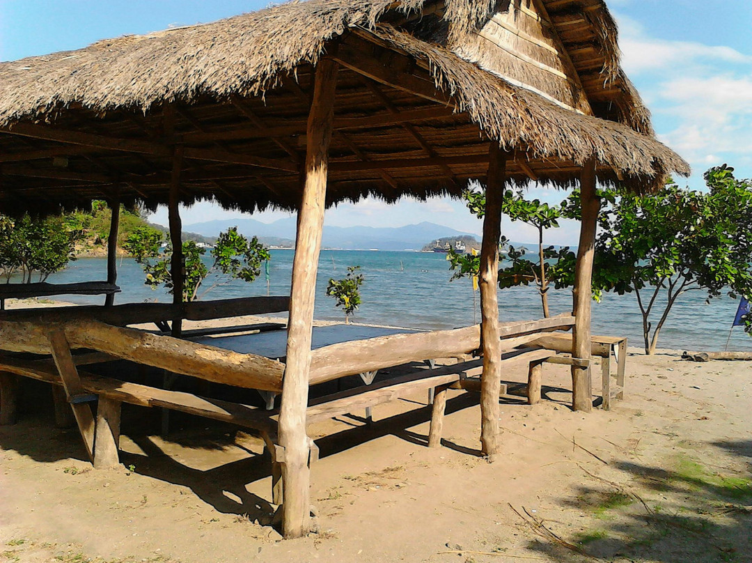 苏比克酒店住宿-Aplaya Del Subic Capati Beach Resort