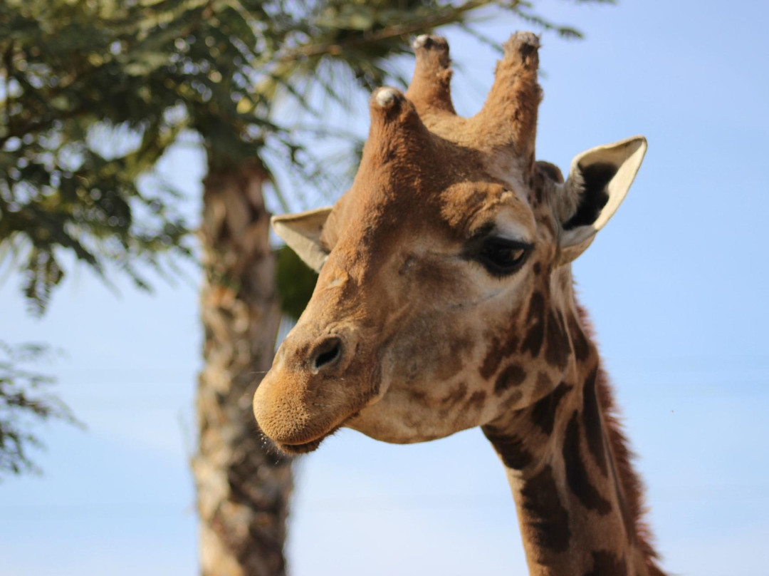 Terra Natura Murcia-穆尔西亚必去景点