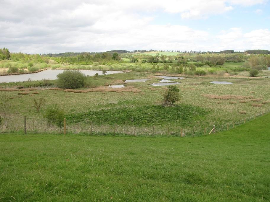 Marfield Wetlands Nature Reserve景点图片