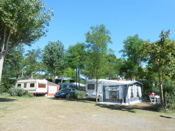 Camping des Pins-官方