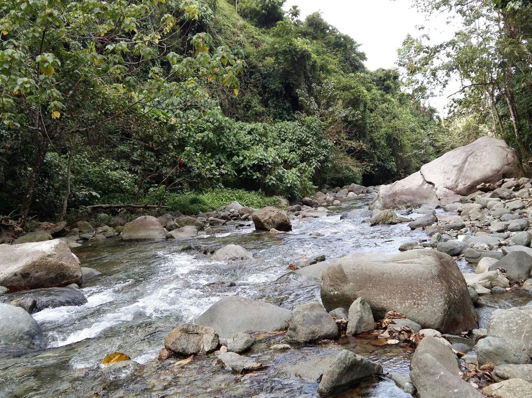 Cunayan Falls景点图片