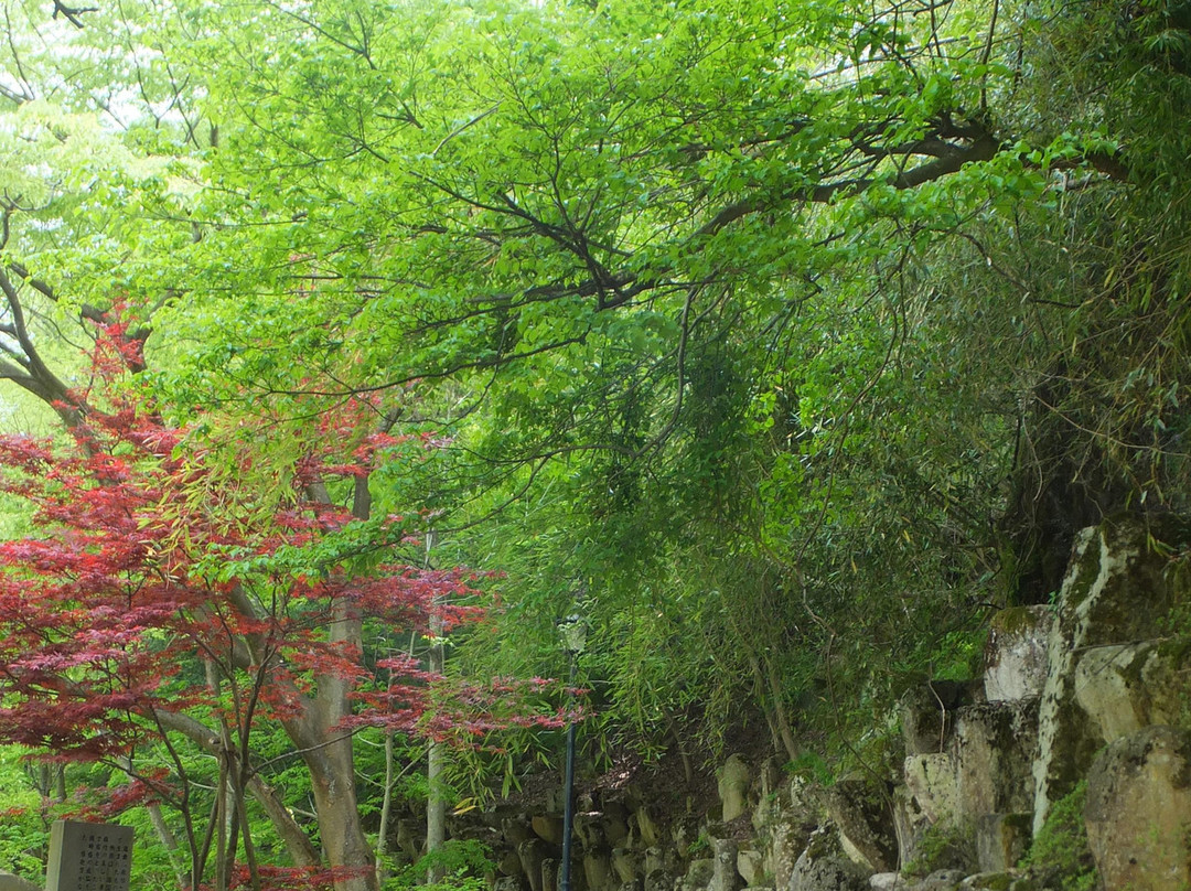 Fujinami Hatcho Yuhodo-飞弹市必去景点