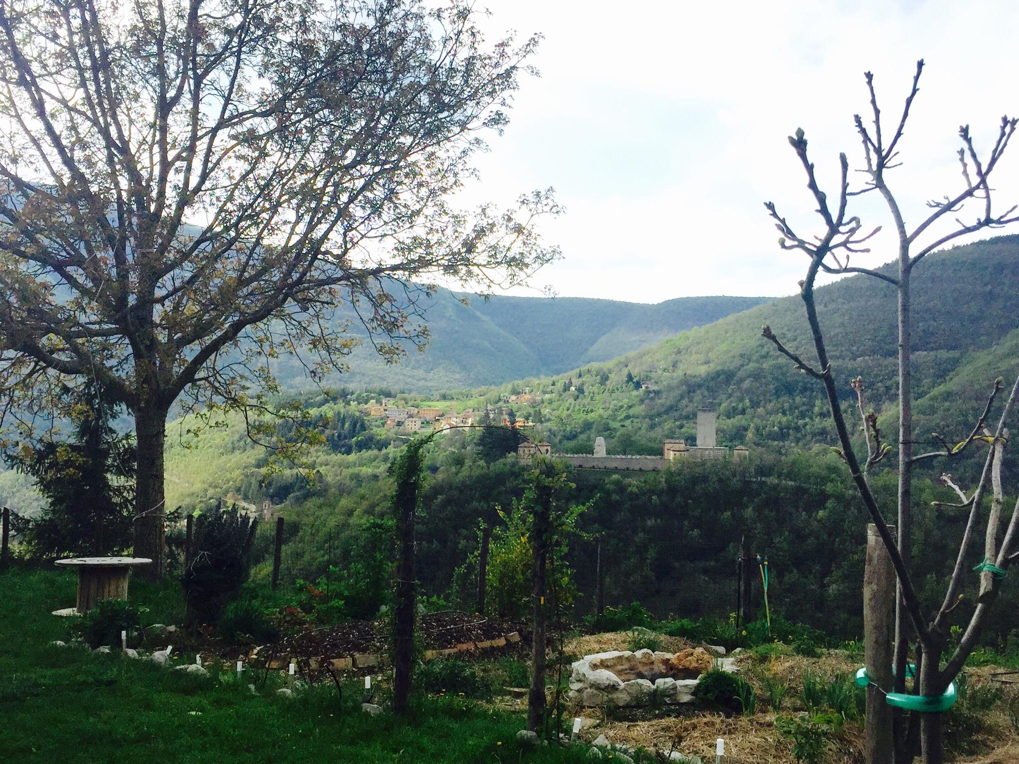 B&B La Casa dell'Ortigiana-客卧