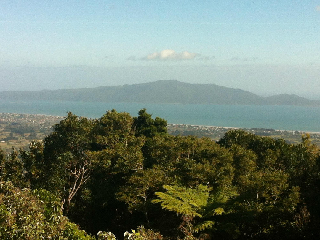 Hemi Matenga Memorial Park Scenic Reserve景点图片