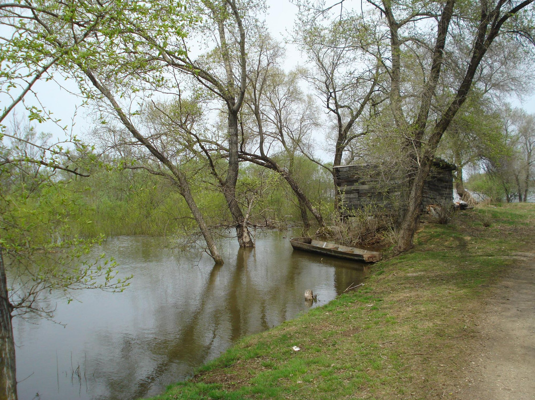 Lesozavodsk History Museum景点图片