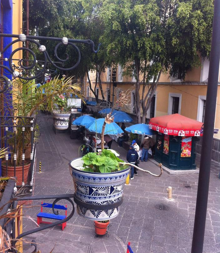 Hotel Casa del Callejon主图