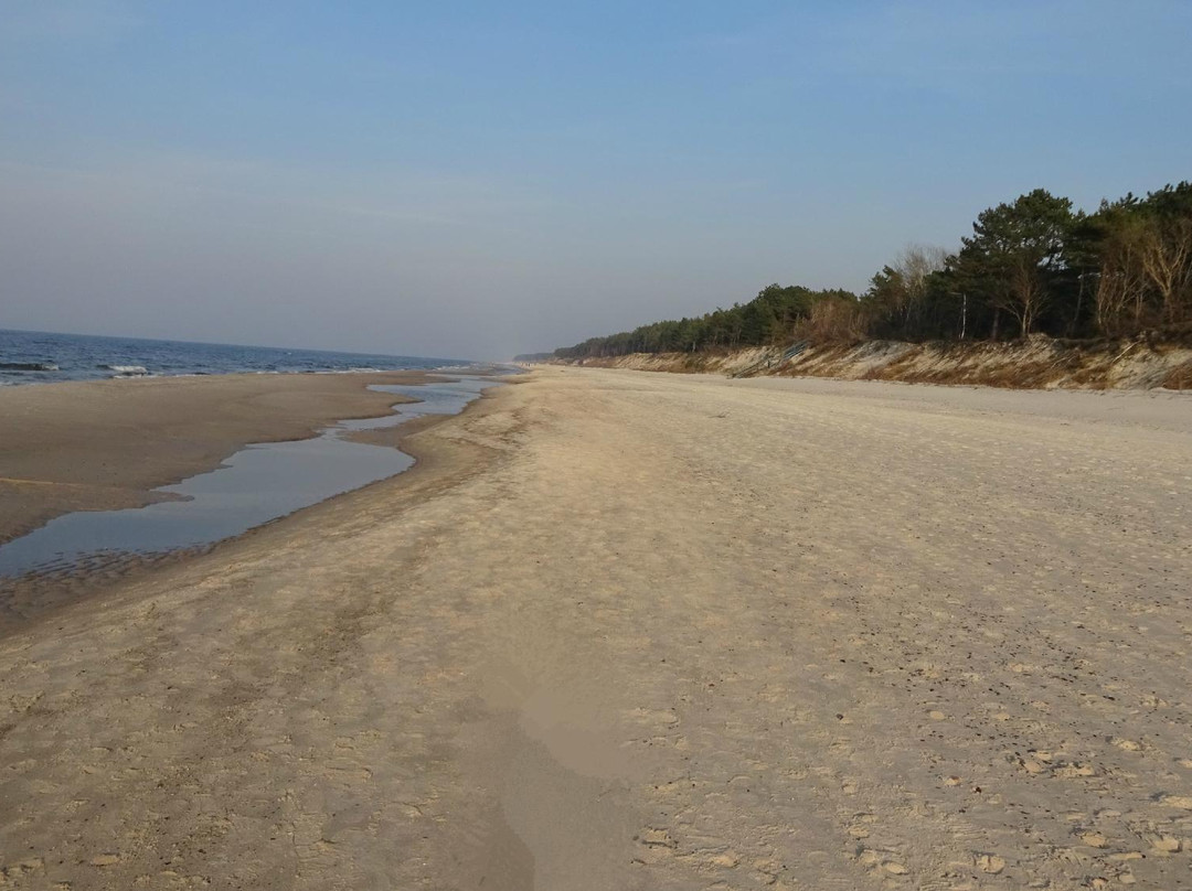 Bocianie Gniazdo Hotel主图