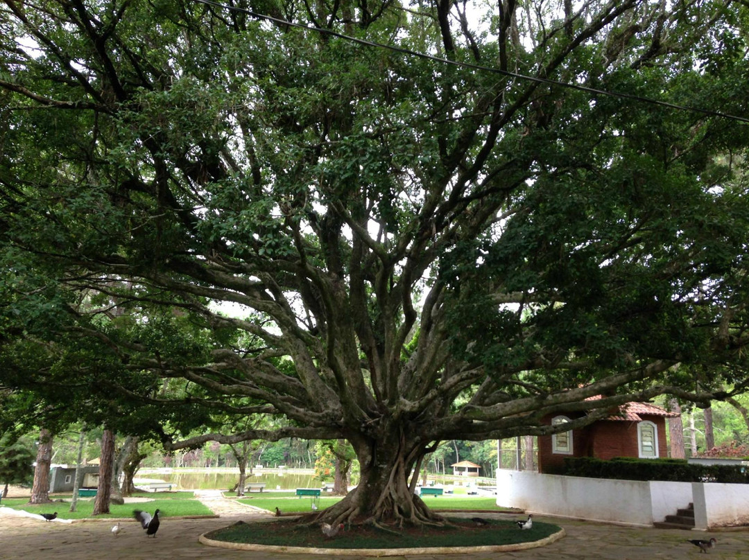 Tres Coracoes旅游景点-Parque das Aguas de Cambuquira