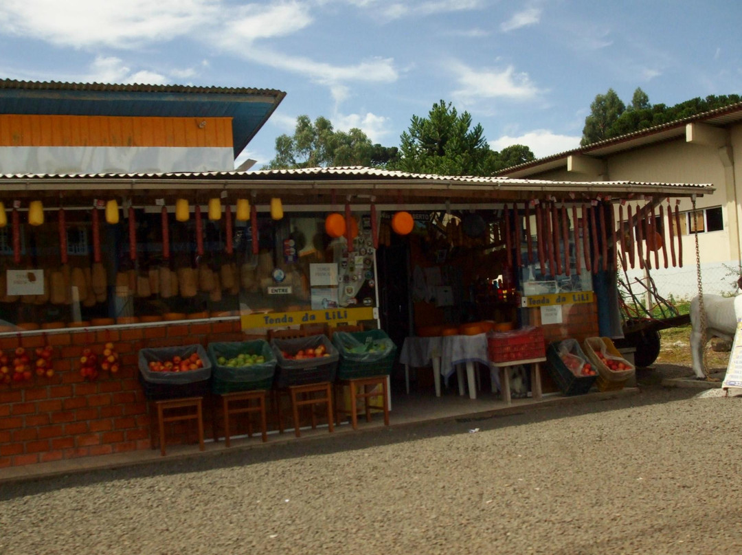 Tenda da Lili景点图片