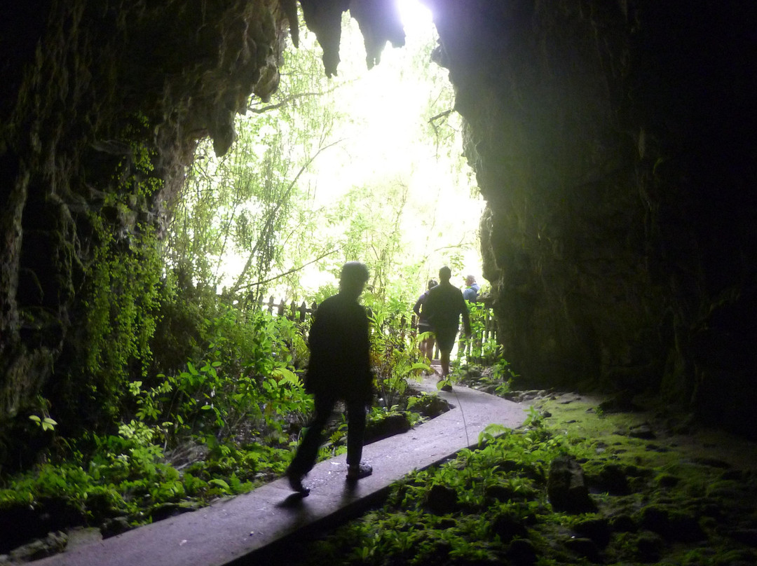 梦幻萤火虫洞之旅-蒂库伊蒂必去景点