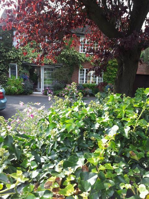 Millstone Bed and Breakfast-官方