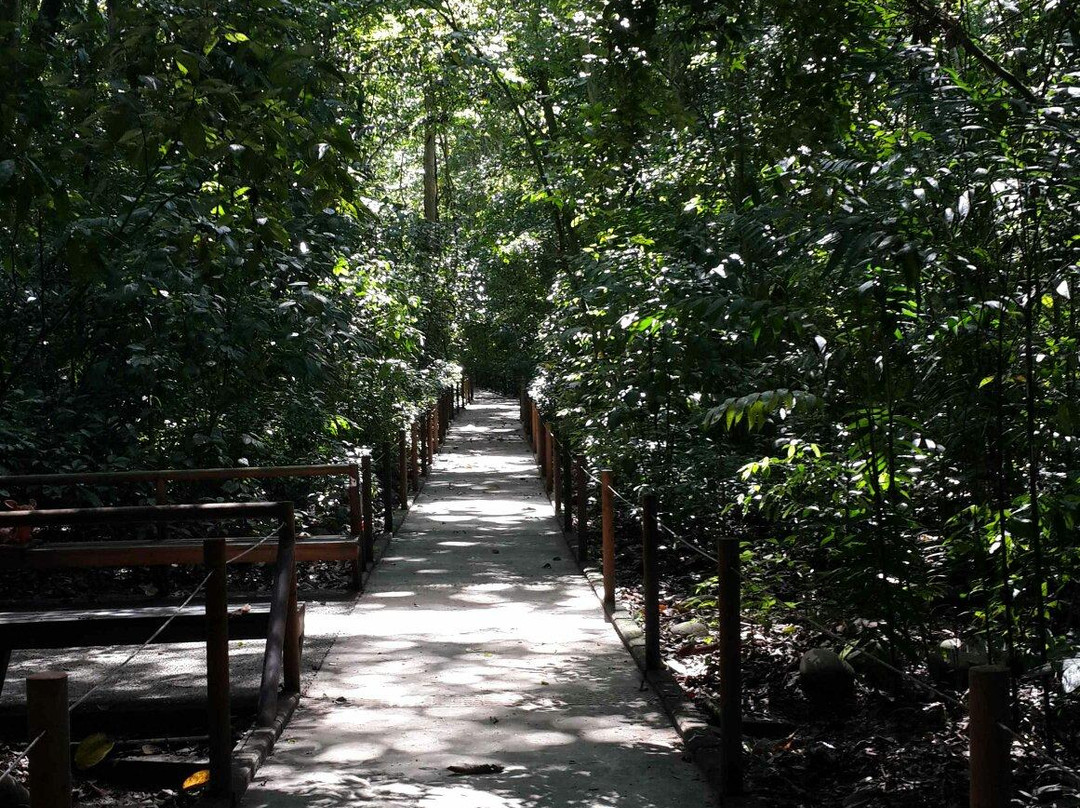Carara National Park景点图片