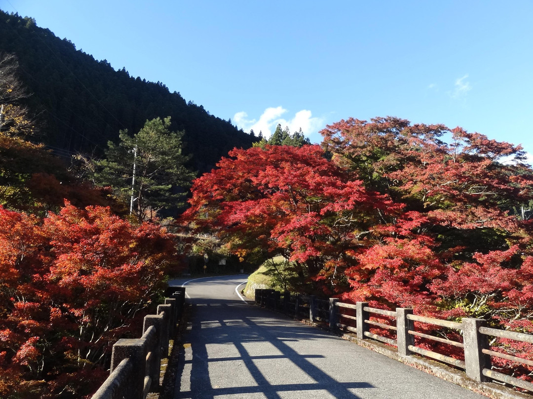 鹿沼市旅游攻略图片