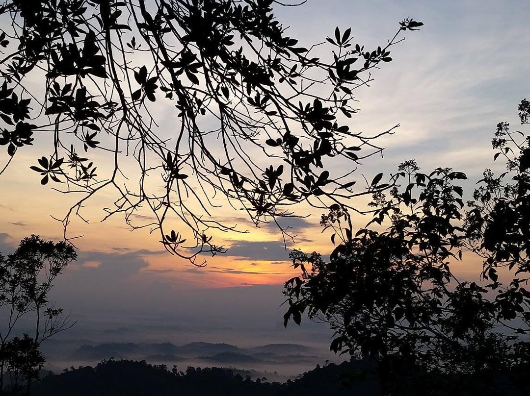 Bukit Panorama-Sungai Lembing必去景点
