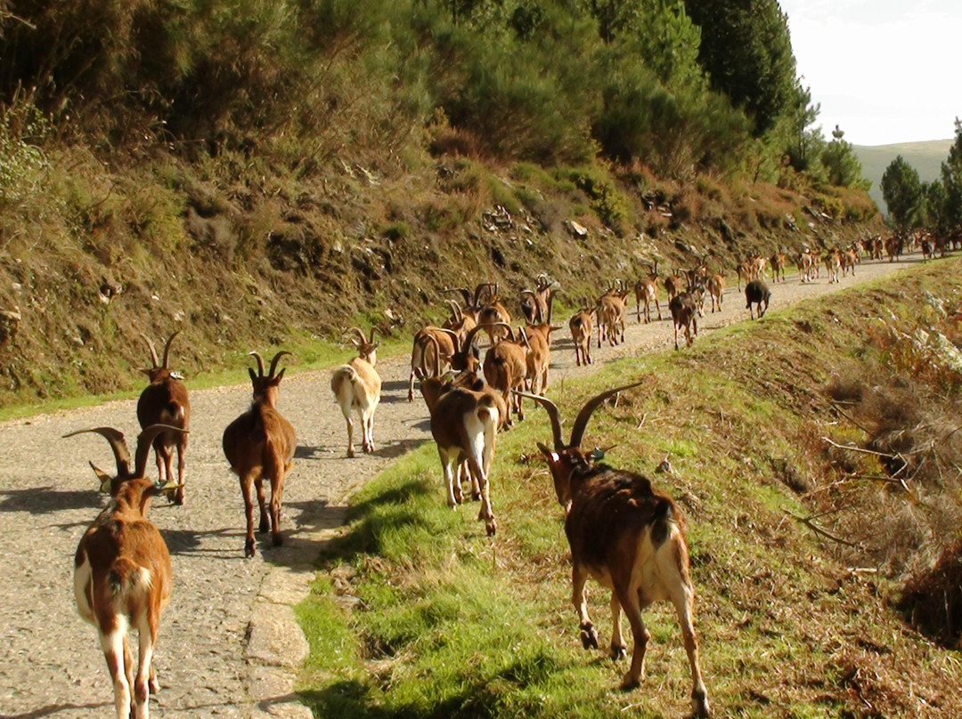 Parque Natural do Alvao景点图片