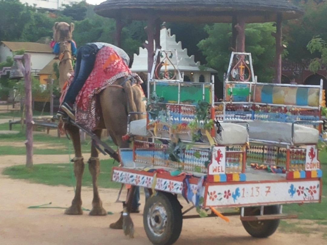 Chokhi Dhani景点图片