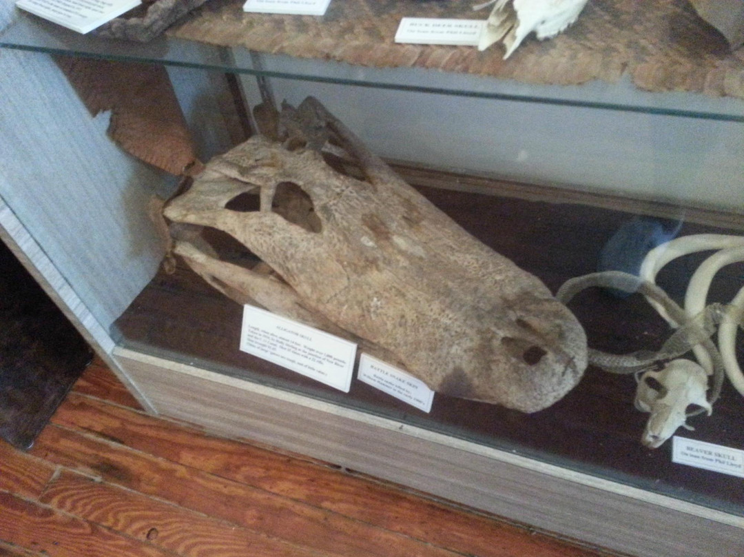Old Davie School Historical Museum景点图片