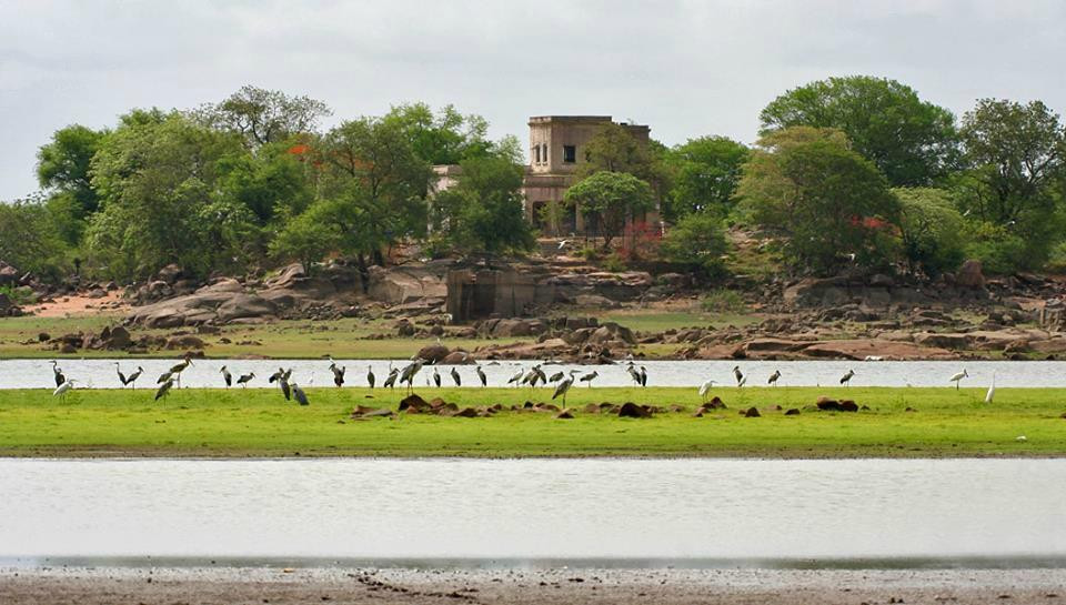 Pocharam Wildlife Sanctuary景点图片
