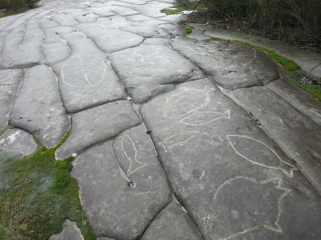 Elvina Track Aboriginal Engraving Site景点图片