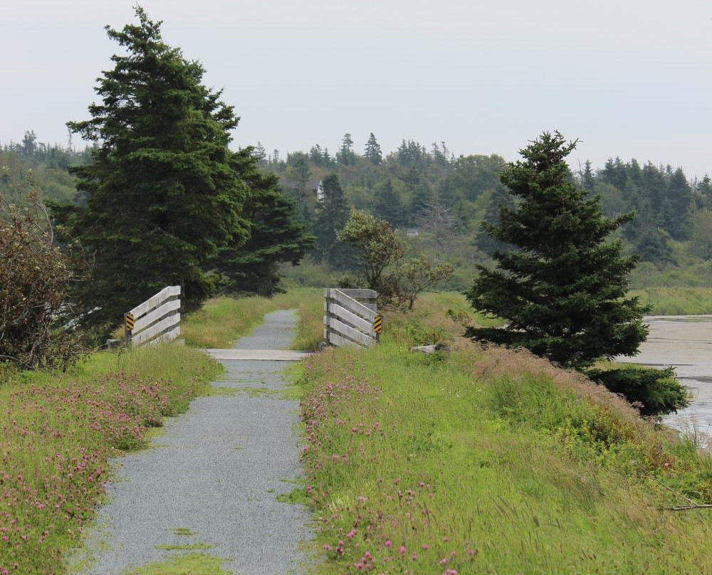 Atlantic View Trail景点图片